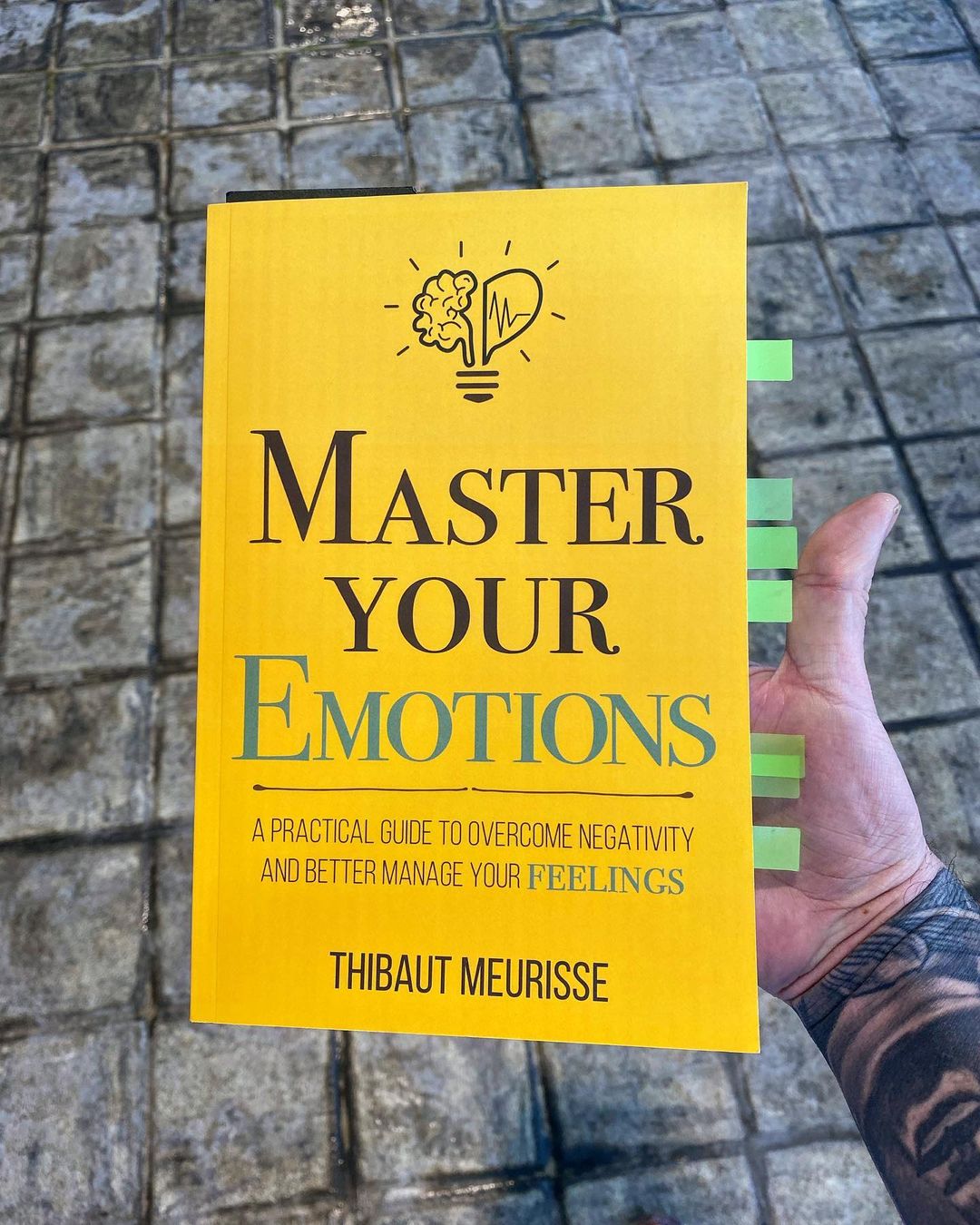 Master Your Emotions Paperback Thibaut Meurisse Master your emotions paperback thibaut meurisse